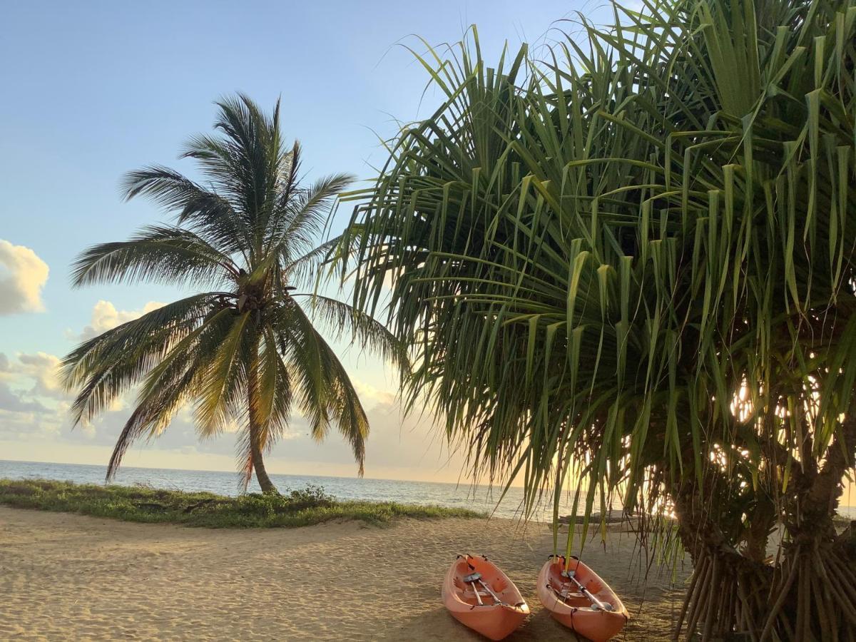 Emayani Beach Lodge Pangani ภายนอก รูปภาพ