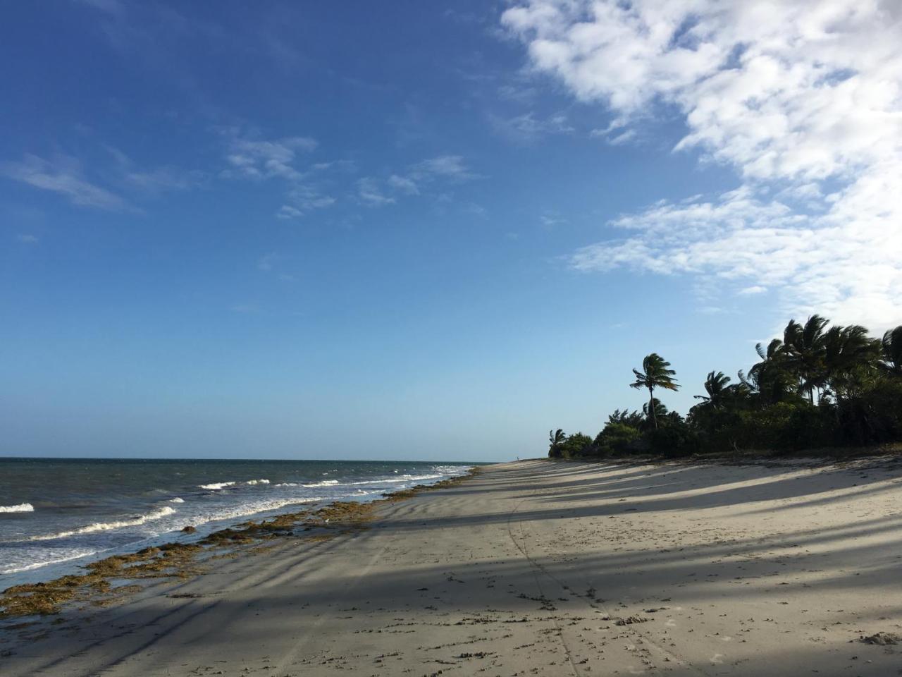 Emayani Beach Lodge Pangani ภายนอก รูปภาพ