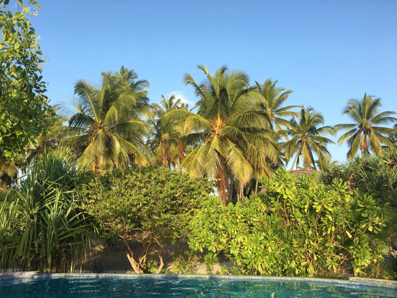 Emayani Beach Lodge Pangani ภายนอก รูปภาพ